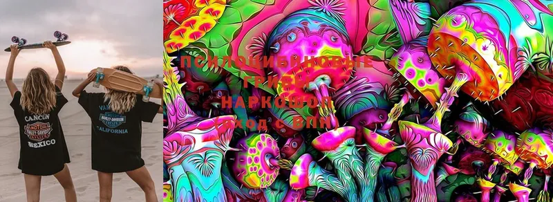 хочу наркоту  Баксан  Галлюциногенные грибы Magic Shrooms 